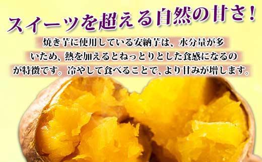 冷やし焼き芋 75g 2袋 計10個 安納芋 密芋 焼き芋 芋 冷凍焼き芋 あんのう芋 さつまいも いも サツマイモ イモ 冷凍 スイートポテト スイーツ デザート おやつ 越季 新潟県 南魚沼市