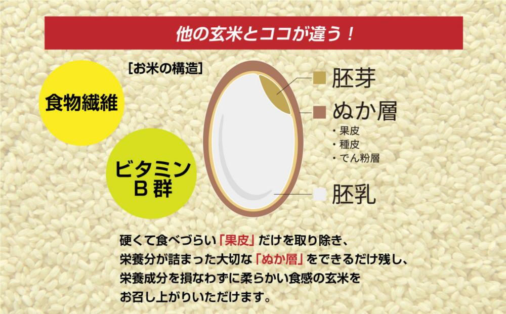 南魚沼産 コシヒカリ 普通に炊ける 玄米 2kg×2袋 計4kg こしひかり 新潟県 米 玄米食 コメ こめ