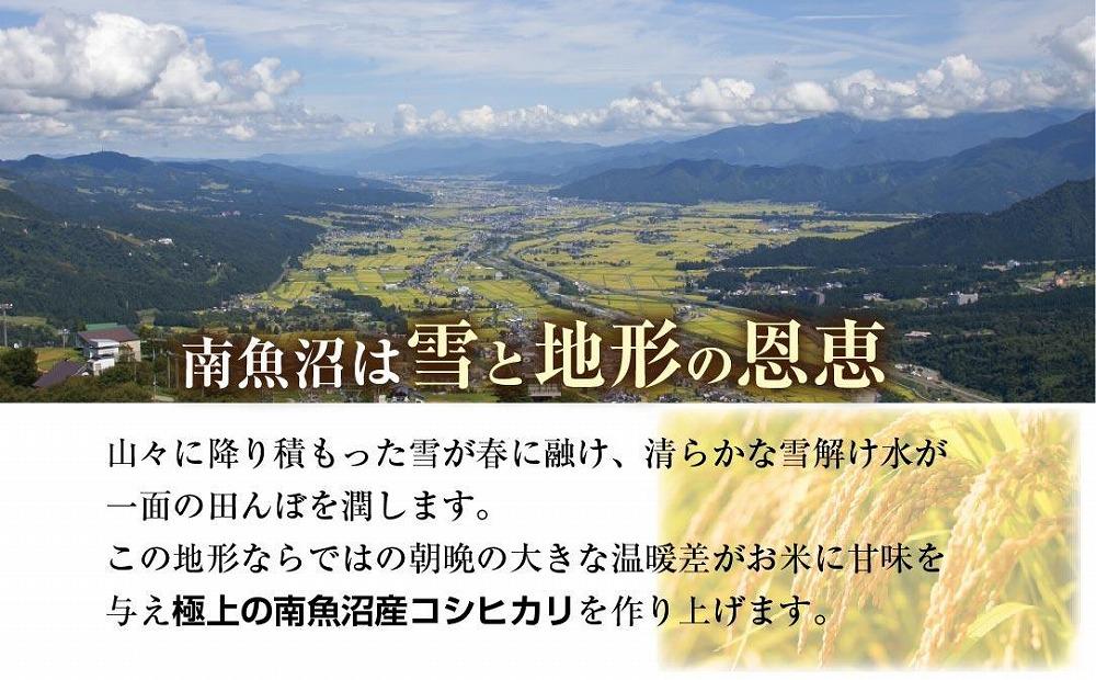 新潟県 南魚沼産 コシヒカリ 【従来品種】塩沢地区 お米 2kg  ×3袋 計6kg精米済み（お米の美味しい炊き方ガイド付き）