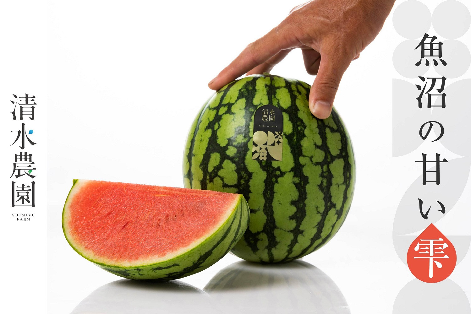 2026年7月中旬から発送予定　野菜ソムリエサミット金賞受賞　「清水農園の八色産小玉スイカ」（2玉）