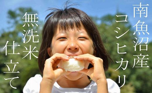 【令和7年産】【無洗米10Kg】吟精  南魚沼産コシヒカリ【2025年10月上旬より順次発送予定】