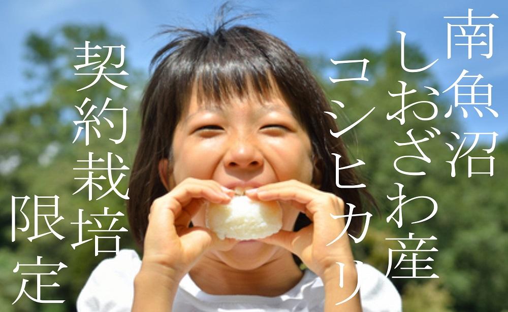 【令和7年産】【定期便】契約栽培限定 南魚沼しおざわ産コシヒカリ15Kg×12ヶ月【2025年10月上旬より順次発送予定】