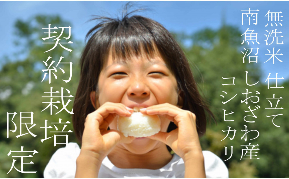 【令和7年産 無洗米5Kg】南魚沼しおざわ産コシヒカリ