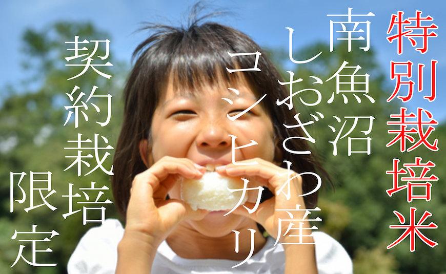 【令和7年産】【定期配送5Kg×3ヶ月】特別栽培 生産者限定  南魚沼しおざわ産コシヒカリ【2025年10月上旬より順次発送予定】