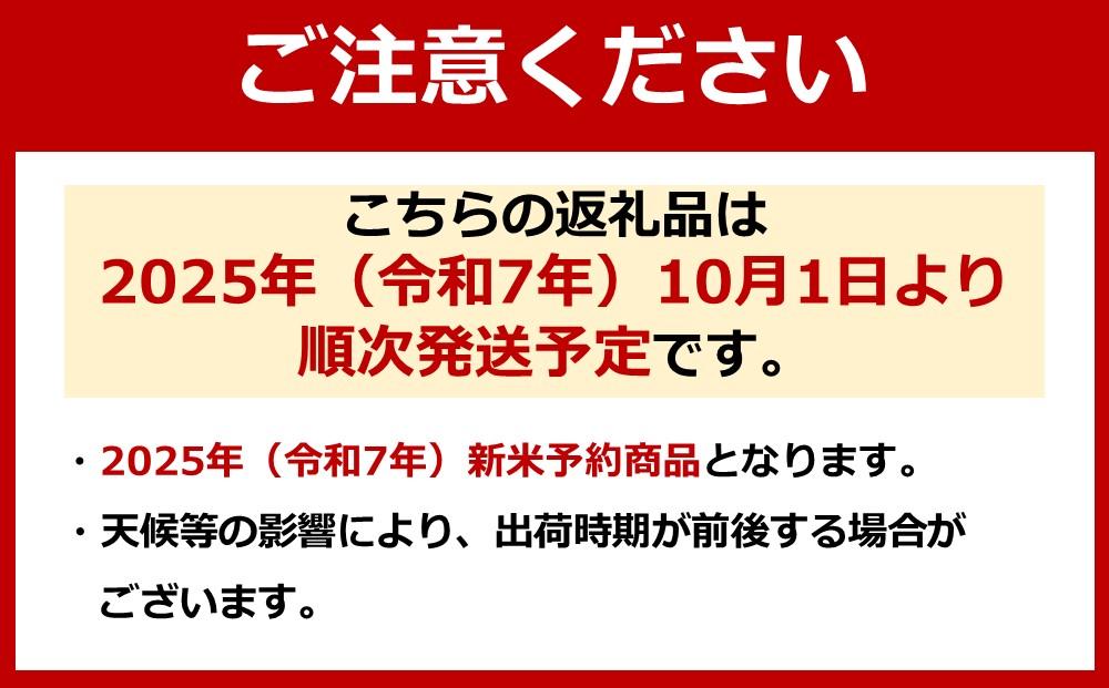 【令和7年産】【定期便】「貝瀬農園米」農薬5割減栽培　南魚沼塩沢産コシヒカリ　精米5kg×全12回