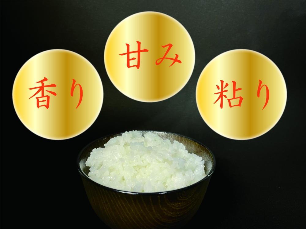 【令和7年産】【南魚沼産】コシヒカリ 白米2kg【2025年9月中旬より順次発送予定】