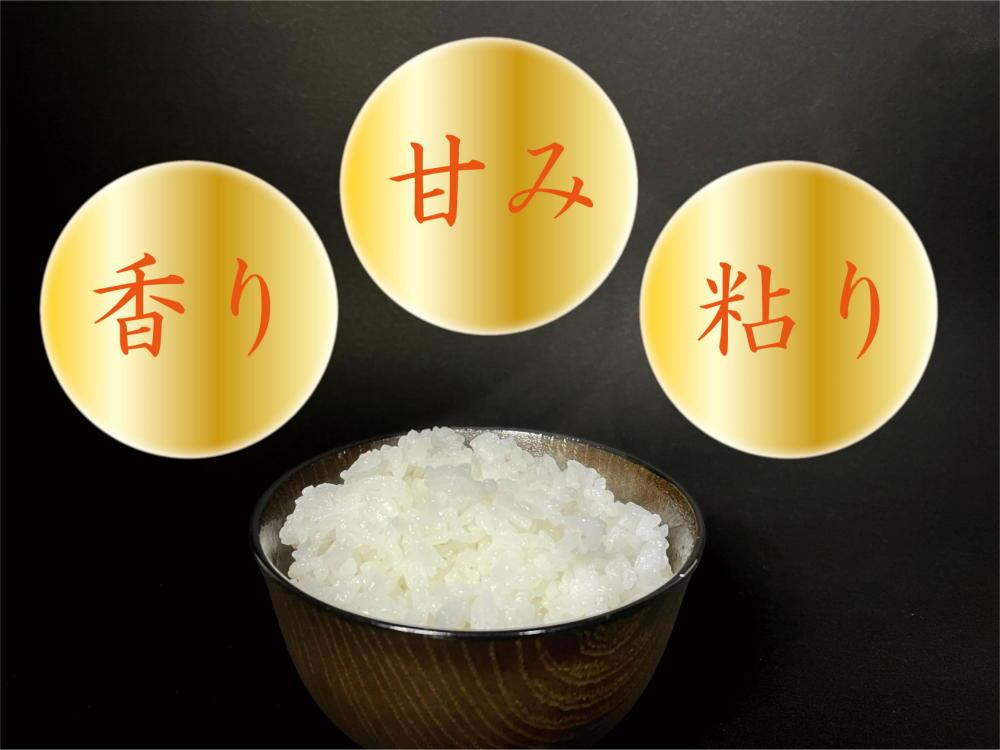 【令和7年産】【定期便 南魚沼産】コシヒカリ 白米10kg×6回【2025年9月中旬より順次発送予定】