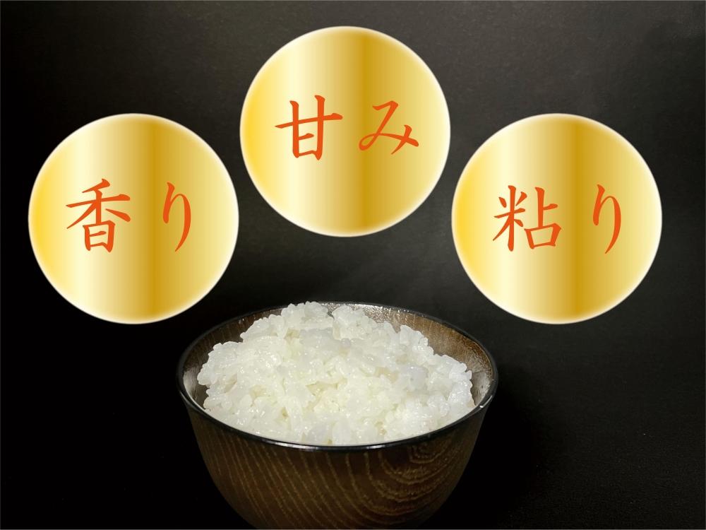 【令和7年産】【定期便 南魚沼産】コシヒカリ 白米2kg×6回【2025年9月中旬より順次発送予定】