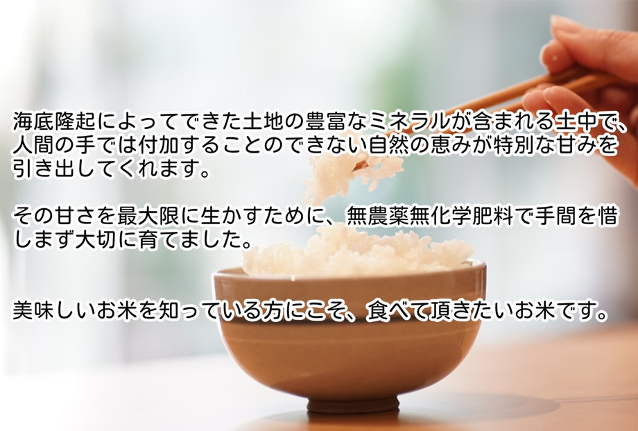 令和7年産　魚沼産コシヒカリ（南魚沼塩沢産）JAS有機栽培米「さとみ」白米５kg