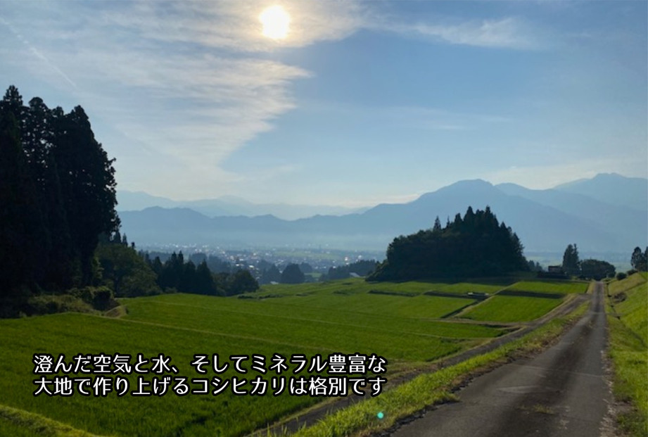 令和7年産　南魚沼塩沢産コシヒカリ　８割減特別栽培米　無洗米５kg