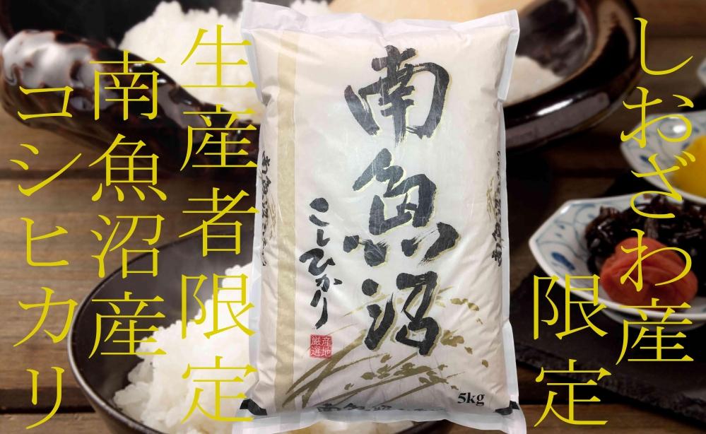 【令和7年産】【定期便5kg×12ヶ月】しおざわ産限定 生産者限定 南魚沼産コシヒカリ【2025年10月上旬より順次発送予定】