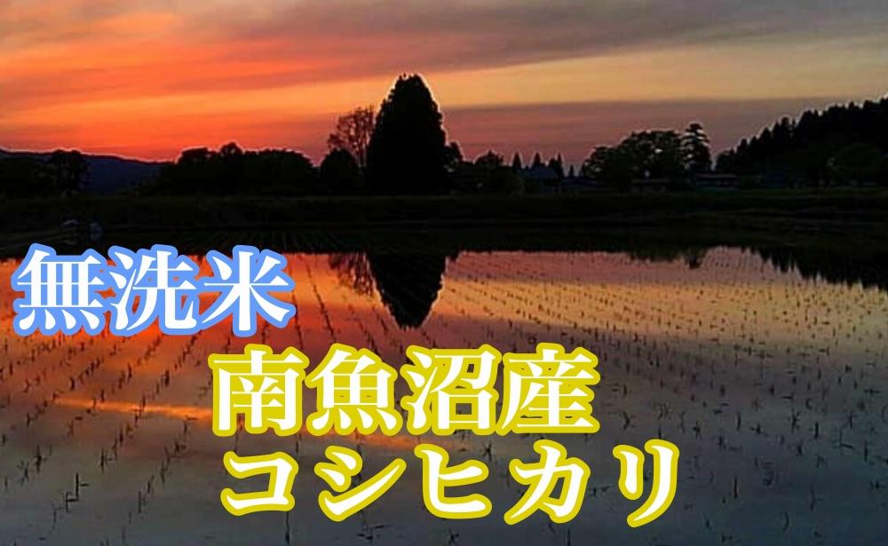 【令和7年産】●吟精 無洗米●南魚沼産コシヒカリ20kg【2025年10月上旬より順次発送予定】