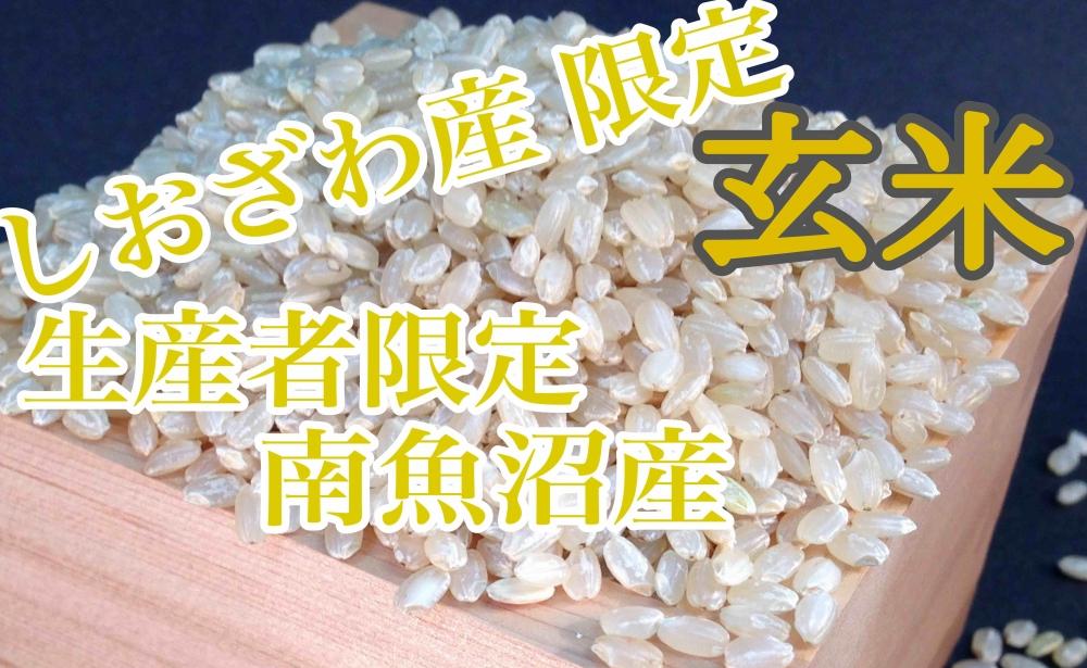 【令和7年産】【定期便2kg×6ヶ月】玄米 しおざわ産限定 生産者限定 南魚沼産コシヒカリ【2025年10月上旬より順次発送予定】