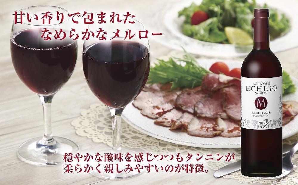 越後ワイン メルロー 赤 750ml 2本セット アグリコア  越後ワイナリー  南魚沼市産メルロー使用 辛口 ミディアムボディ 度数12% 国産ワイン 魚沼ワイン わいん 送料無料 新潟県 南魚沼市