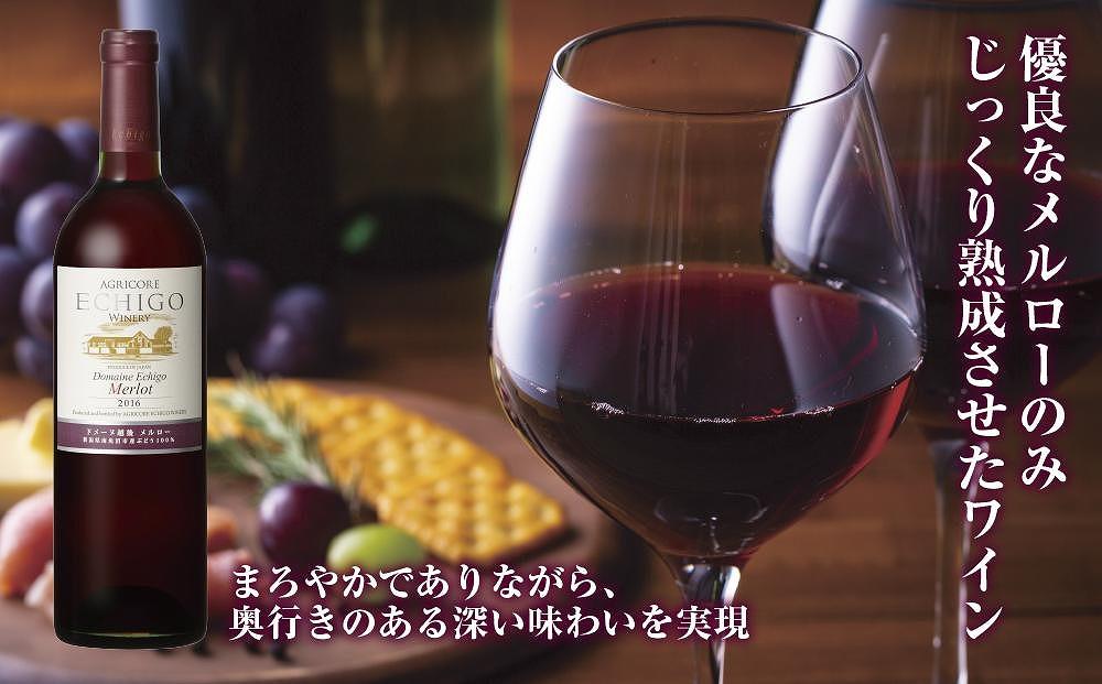 ドメーヌ・越後メルロー  赤 750ml 2本セット アグリコア  越後ワイナリー  南魚沼市産メルロー 辛口 ミディアムボディ アルコール度数12% 魚沼ワイン 国産 送料無料 新潟県 南魚沼市