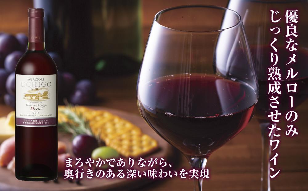 無地熨斗 ドメーヌ・越後メルロー  赤 750ml 2本セット アグリコア  越後ワイナリー  南魚沼市産メルロー 辛口 ミディアムボディ アルコール度数12% 魚沼ワイン 国産 送料無料 新潟県 南魚沼市