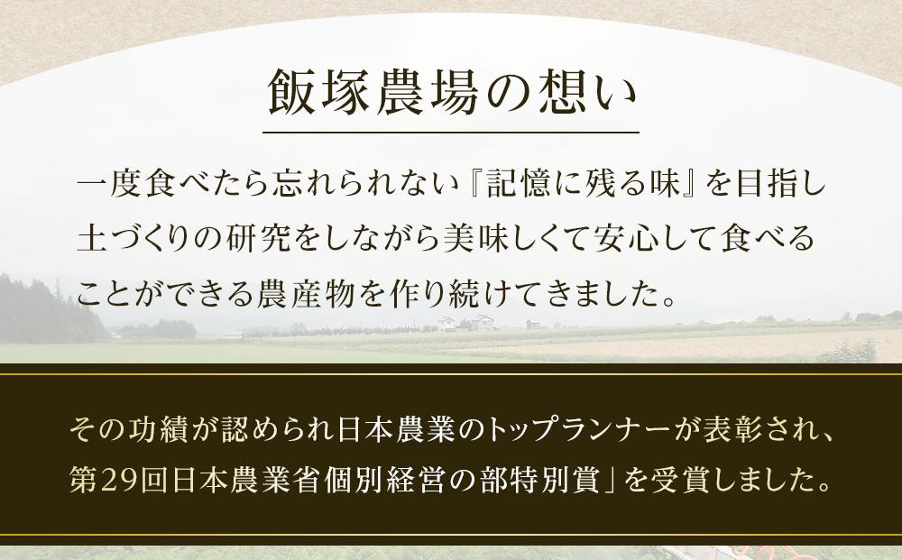 【夏季限定】飯塚農場産の八色原すいか　大玉2玉（赤1玉・黄1玉）セット【2026年7月下旬より順次発送予定】
