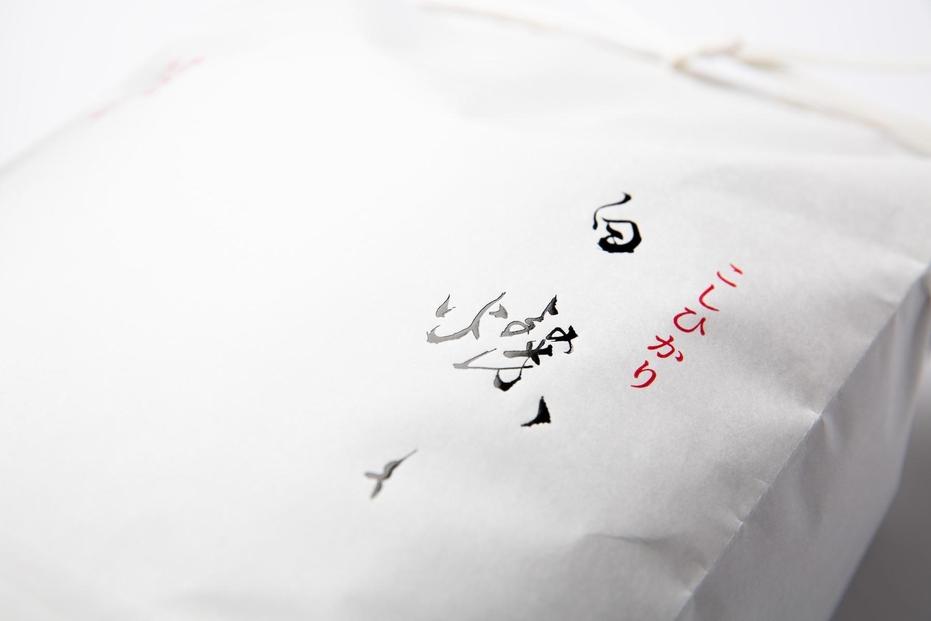 【令和7年産】南魚沼君沢産こしひかり　白燦々　10kg　【玄米】（従来品種）