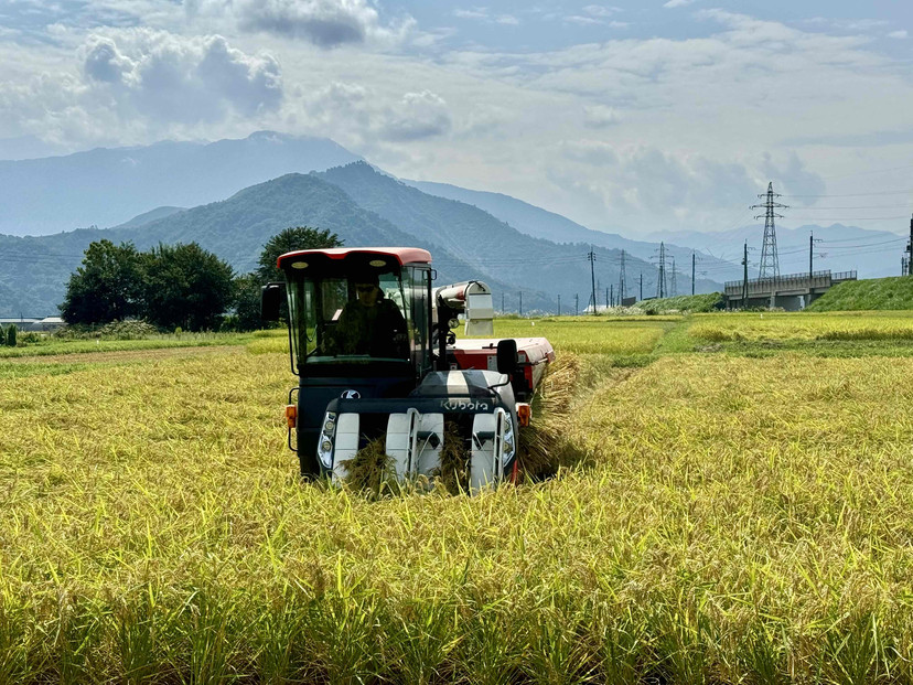 【令和7年産】南魚沼産コシヒカリ 玄米10kg