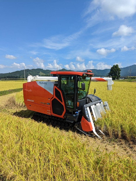 【令和7年産】南魚沼産コシヒカリ　八色　精米5kg