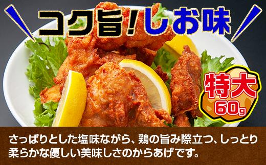 どでか味付けから揚げ うま塩味 500g×2パック 計1kg 大容量 唐揚げ からあげ から揚げ しお 塩 揚げ物 冷凍 惣菜 簡単 調理 肉 おかず 味付き 野崎フーズ 新潟県 南魚沼市