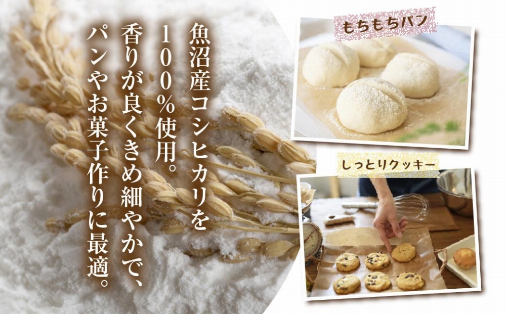 魚沼産 コシヒカリ 発芽玄米粉 1kg×3袋 計3kg 玄米  グルテンフリー 小麦不使用 アレルギー GABA お取り寄せ 菓子 パン ケーキ ギフト 送料無料 コパフーズ 新潟県 南魚沼市