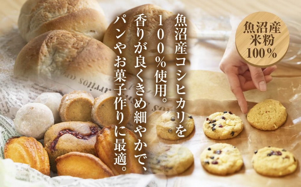 新潟県産 米粉 玄米粉 セット 各250g 計500g  魚沼産 コシヒカリ 白米粉 アレルギー グルテンフリー GABA お取り寄せ 製菓 パン作り 製菓 送料無料 コパフーズ 新潟県 南魚沼市