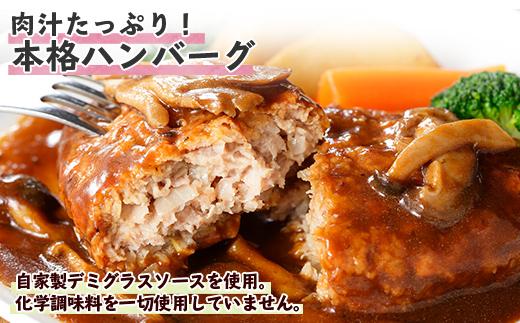 ES46 こだわり 手作り 自家製 煮込み ハンバーグ 170g×6個 ＆ ひじき豆腐ハンバーグ160g×6個 食べ比べ 新潟県 南魚沼市 計12個 約12人前