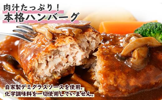 ES47 無地熨斗 こだわり 手作り 自家製 煮込み ハンバーグ 170g×2個 ＆ ひじき豆腐ハンバーグ160g×2個 食べ比べ 新潟県　 南魚沼市 計4個 約4人前