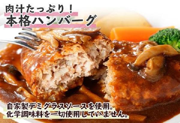 ES49 無地熨斗 こだわり 手作り 自家製 煮込み ハンバーグ 170g×6個 ＆ ひじき豆腐ハンバーグ160g×6個 食べ比べ 新潟県 南魚沼市 計12個 約12人前