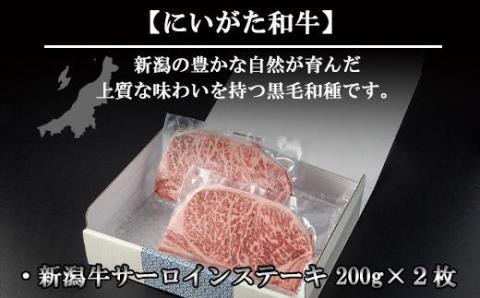 新潟牛 南魚沼産 にいがた 黒毛和牛 サーロインステーキ 200ｇ×2枚 2人前 新潟県 南魚沼市
