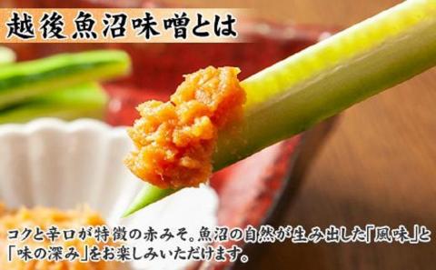 無地熨斗 新潟県 南魚沼産 こだわり厳選 味噌 ＆ みそ漬け お試し 食べ比べ 木津醸造所 セット