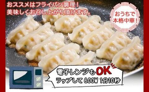新潟県 南魚沼市 チルド手焼き餃子 8個入り × 6パック 計48個 ケンちゃん餃子 冷蔵 中華 点心 惣菜 ビール お取り寄せ グルメ