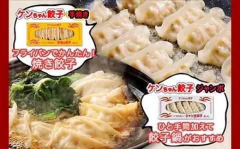 新潟県 南魚沼市 チルド手焼き餃子・ジャンボ餃子 食べ比べ セット 各3パック 計42個 ケンちゃん餃子 冷蔵 中華 点心 惣菜 ビール お取り寄せ グルメ