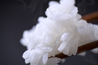 【令和7年産】【精米】自然農法/化学肥料不使用の南魚沼産こしひかり5kg