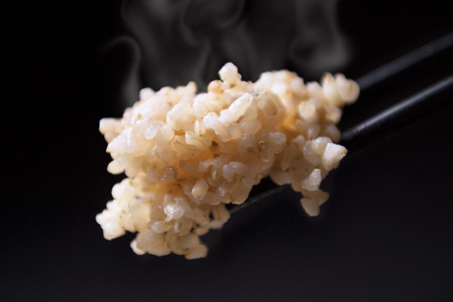 【令和7年産】【玄米】自然農法/化学肥料不使用の南魚沼産こしひかり10kg