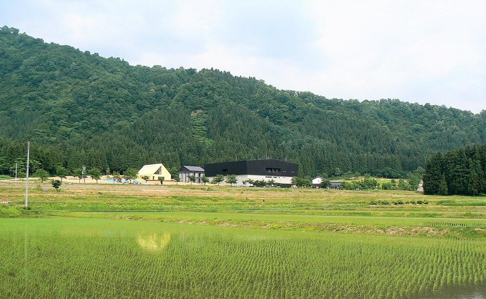 八海山ライディーンビール４種１２本いろいろセット