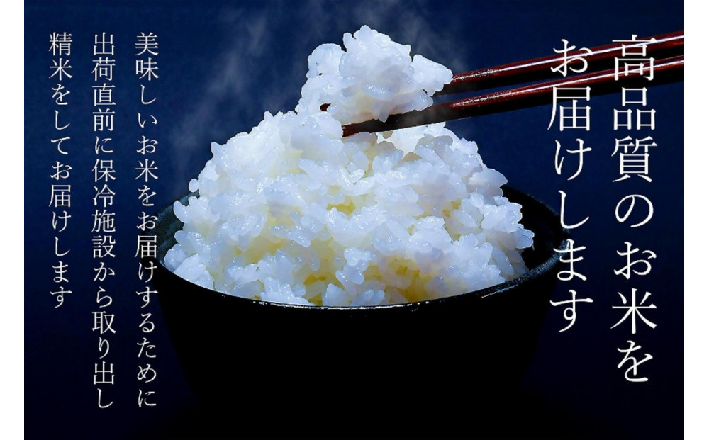 【令和7年産新米】南魚沼食味コンクール4年連続優秀賞　塩沢地区限定米5kg　南魚沼塩沢産コシヒカリ