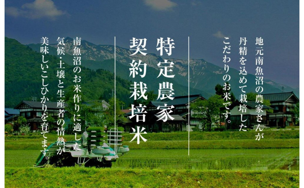 【令和7年産】契約栽培　南魚沼産新之助6kg