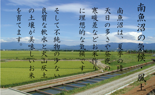 【令和7年産 頒布会】南魚沼産こしひかり2kg×全6回　契約栽培  雪蔵貯蔵米