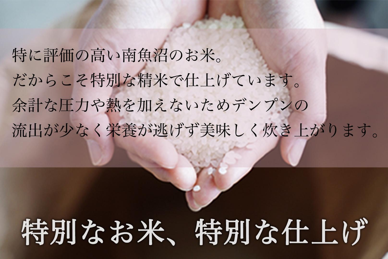 【定期便】令和7年産 南魚沼産コシヒカリ 精米 2kg×2袋 12ヶ月連続