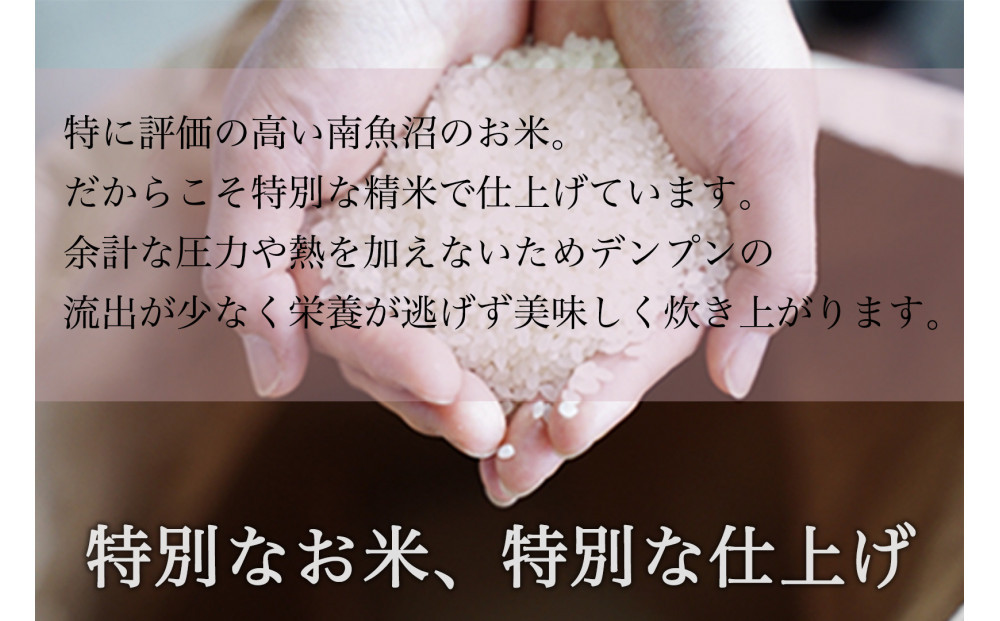 【全3回】令和7年産 南魚沼産コシヒカリ 精米 5kg×4袋 3ヶ月連続