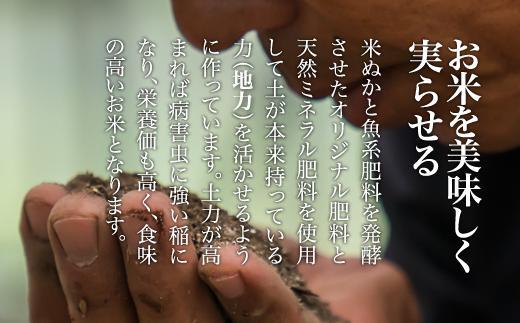 【令和７年産】南魚沼産 笠原農園米 コシヒカリ２合真空パック２０個 【簡易包装】