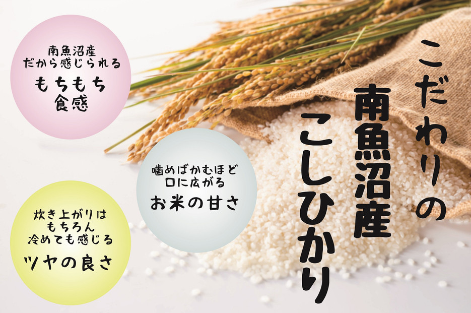 【令和7年産】【定期配送】南魚沼産コシヒカリ 白米 5kg 全12回【2025年10月上旬より順次発送予定】