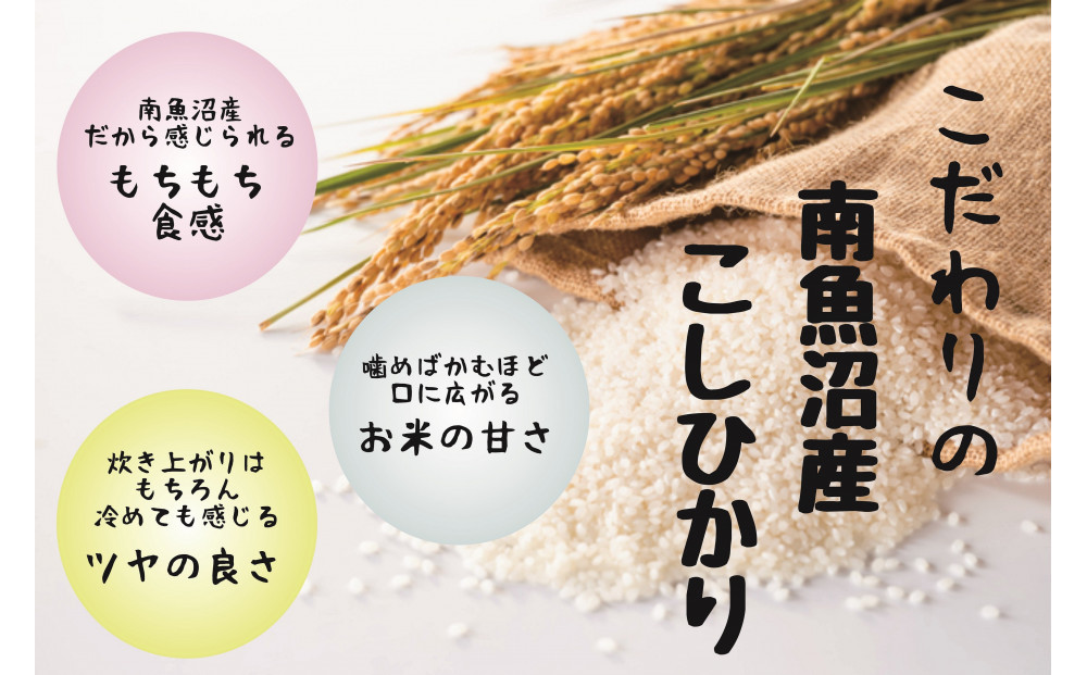 令和7年産 南魚沼産コシヒカリ特別栽培米 白米 5kg