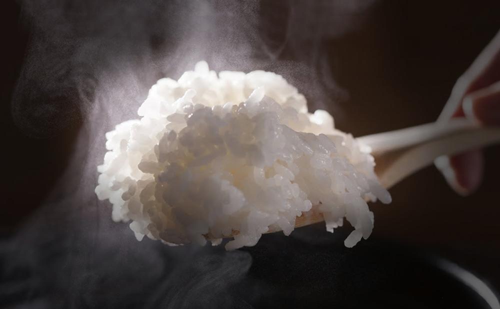 【令和7年産】この一粒に愛をこめて【四代目田中の最高傑作品】精米10kg