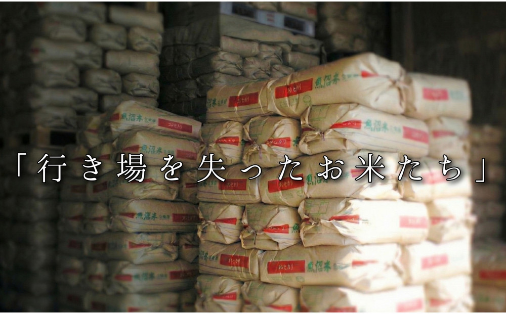 【令和7年産】南魚沼産コシヒカリ　精米10kg　訳あり　