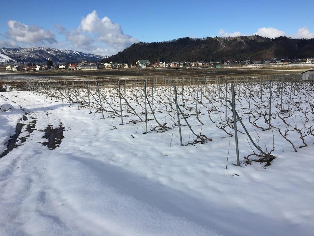 カベルネ・ソービニヨンの辛口スパークリングワイン 小瓶6本セット