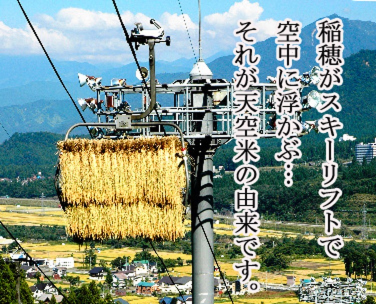 【令和7年産】スキーリフトを利用した極上米「天空米」５ｋｇ（白米）