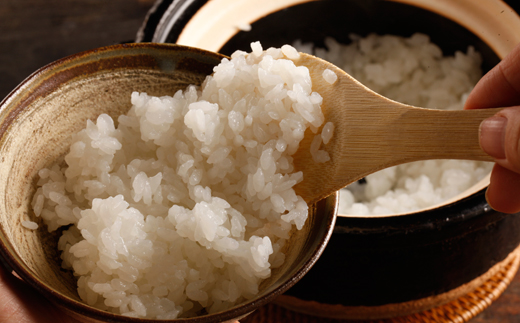 【令和7年産】南魚沼産コシヒカリ　5kg　自遊人セレクト　試食を重ねて厳選しました！